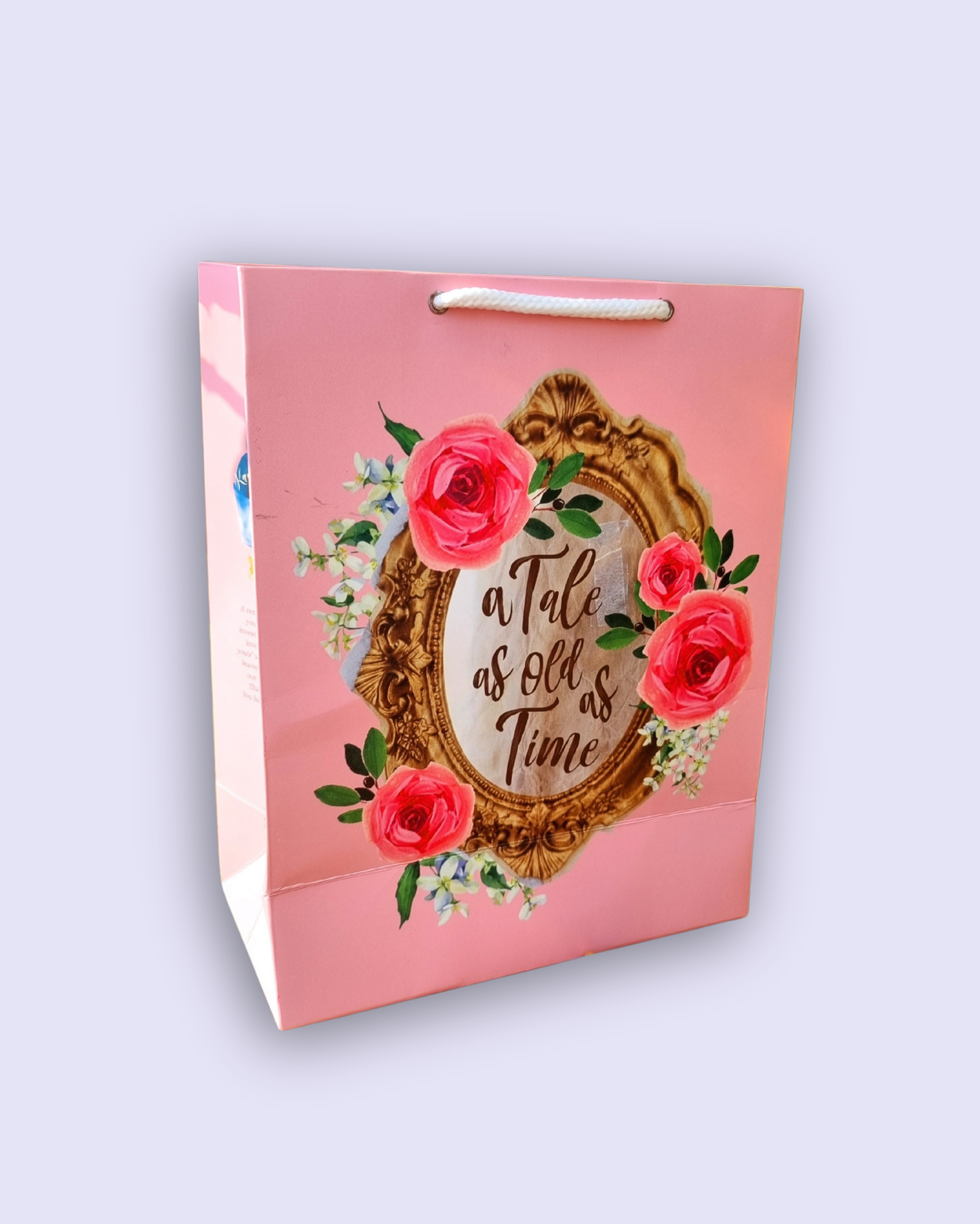 Large Gift Bags
