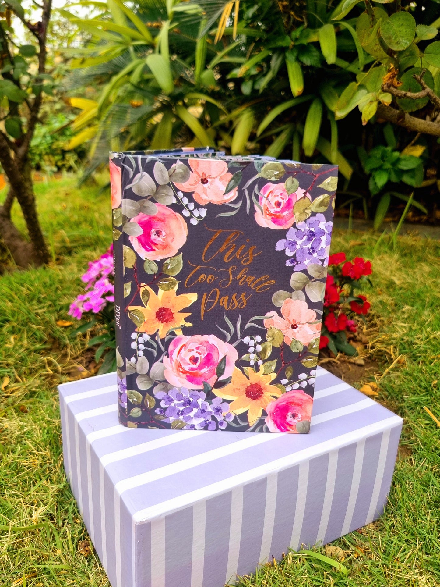 *Journal - This too shall Pass