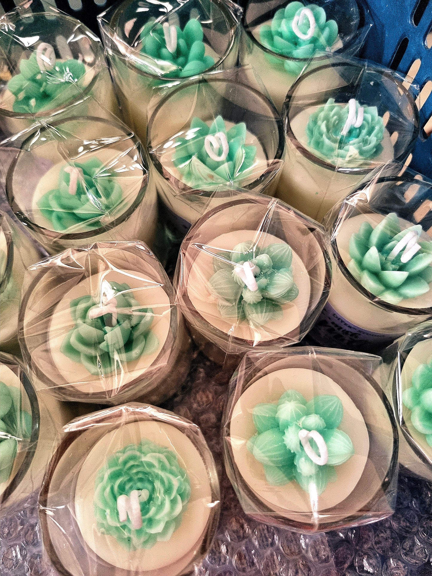 Candle - Succulent Garden (Mishmelt)