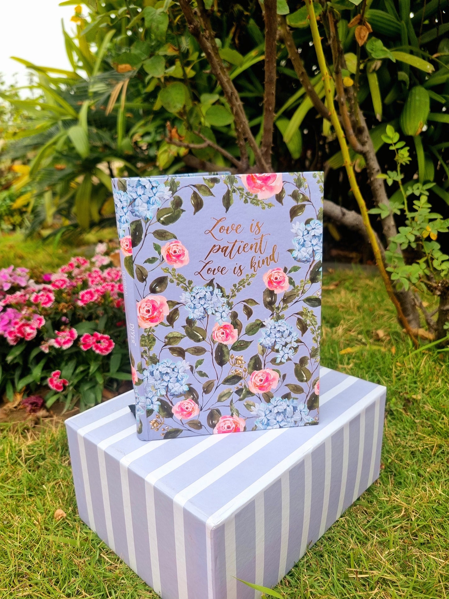 *Journal - Love is Patient